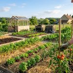 préparer potager printemps
