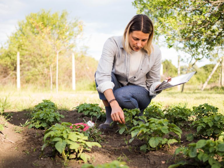 au jardin en avril