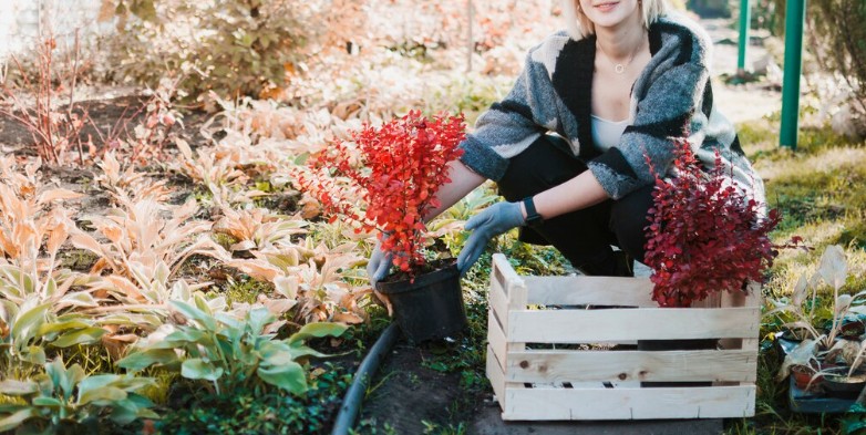planter au jardin en janvier