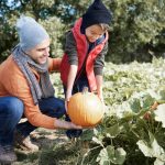 au potager en octobre
