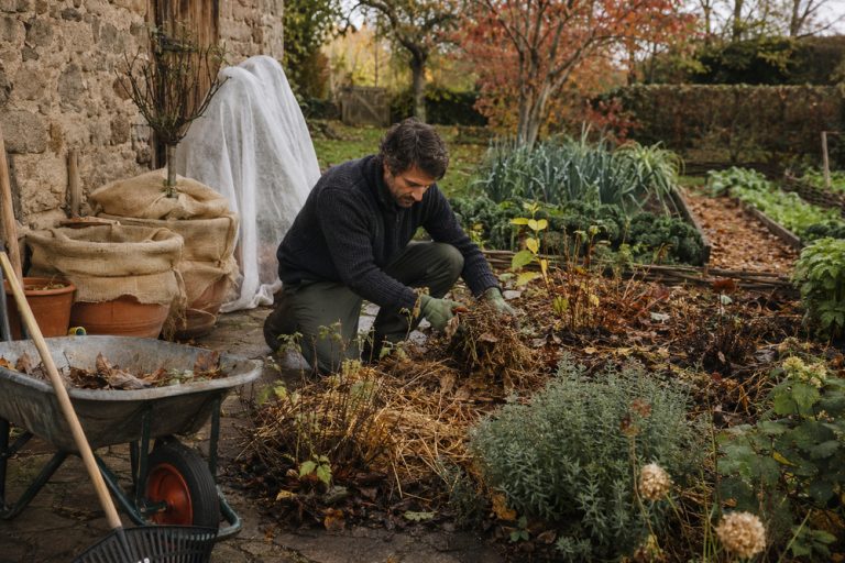 préparer son jardin pour l’hiver