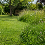 Pelouse écologique