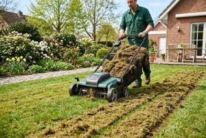 Scarifier sa pelouse