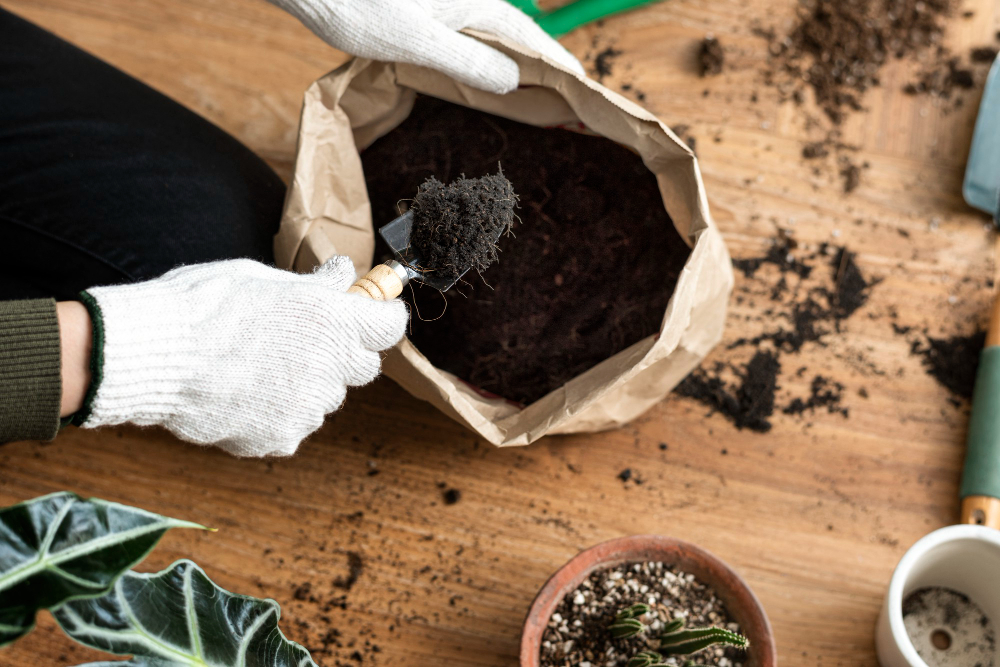 engrais naturel pour potager