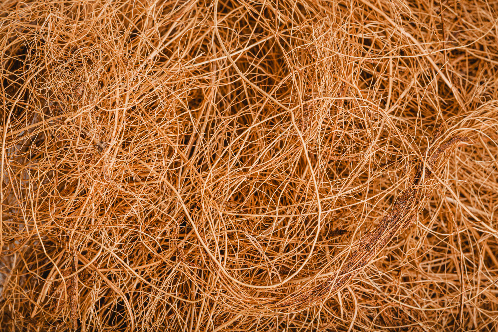 fibre de coco