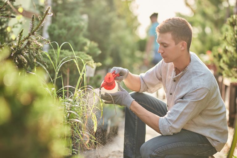 entretenir jardin